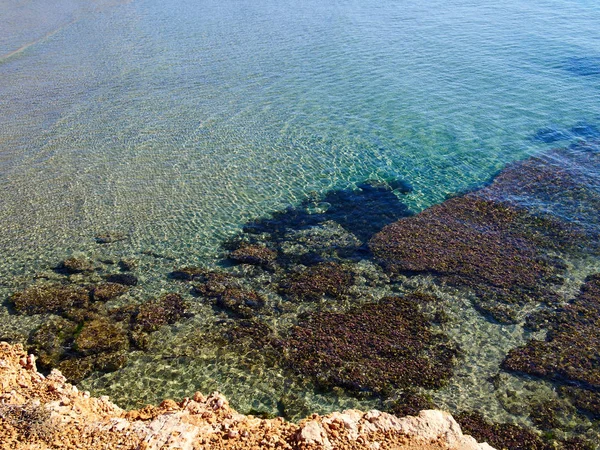 澄んだ青い海海水岩素晴らしい夏の休暇自然背景イメージの上 — ストック写真