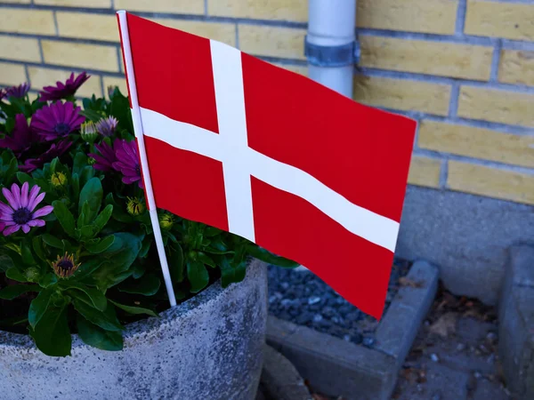 Típica Tradición Danesa Bandera Papel Dinamarca Jardín Para Celebrar Cumpleaños —  Fotos de Stock