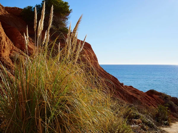 Beliebtes Sommerreiseziel Die Strandpromenade Der Schönen Campoamor Orihuela Küste Spanien — Stockfoto