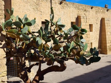 Ünlü turistik vurgulamak Santa Barbara Castle Castell Alicante Costa Blanca İspanya