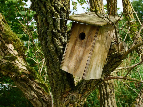 Traditional Homemade Classic Wooden Nesting Box Hanged Tree Garden — Stock Photo, Image