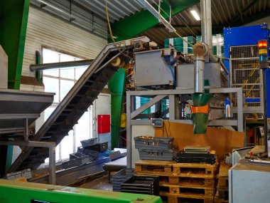 Sıralama ve frsh evi soğan ambalaj bir tarım modern üretim hattında ambalaj