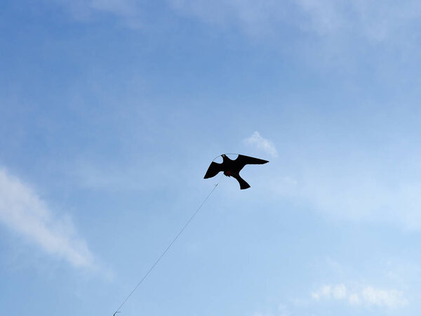 Scarecrow shaped like a bird of prey to scare birds from flyinto into a field