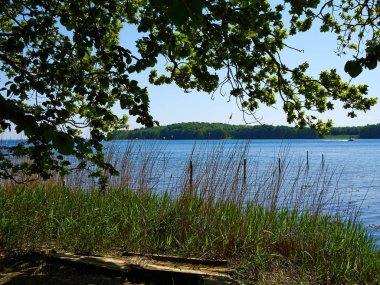 Yazın Danimarka 'da tipik güzel, doğal Danimarka sahil manzarası.