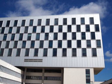 Modern tasarım bigbusiness ofis binası ile siyah beyaz elemanları