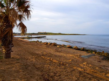Paphos Kıbrıs - popüler yaz seyahat hedef güneşli resort City Beach ve palmiye ağaçları