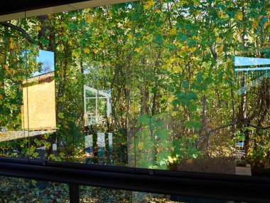 Yemyeşil yeşil park bahçe manzaralı yolu ile cam pencerenin ev arka arka plan resmi