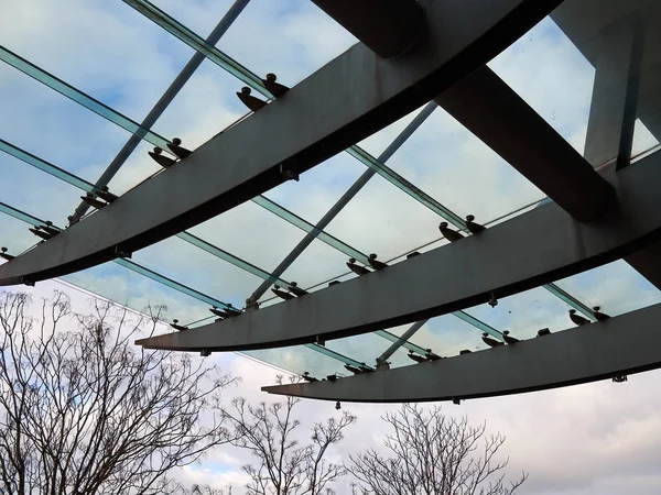 Diseño moderno patrón de viga curvada pérgola de metal —  Fotos de Stock