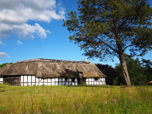 Tradicional Velho Estilo Clássico Dinamarquês Casa Campo Com Telhado Palha — Fotografia de Stock