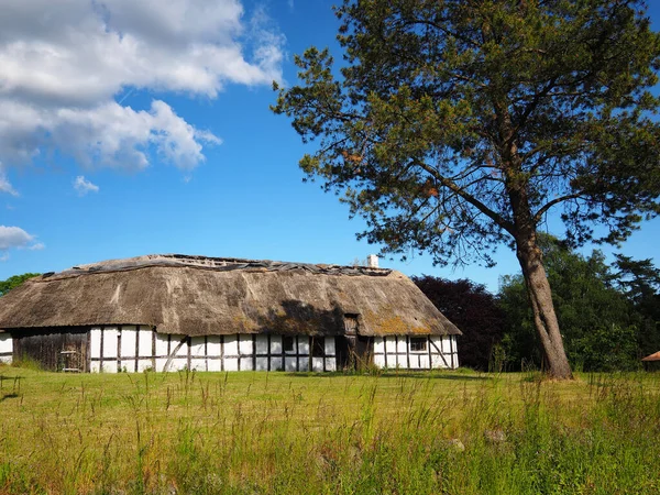 Ancienne Maison Campagne Danoise Style Classique Avec Toit Paille Chaume — Photo