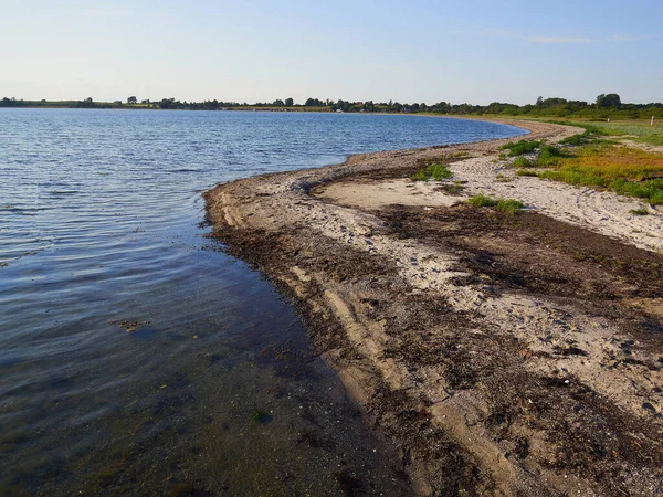 Типичные Красивые Природные Датские Береговые Линии Летом Fyn Funen Denmark — стоковое фото