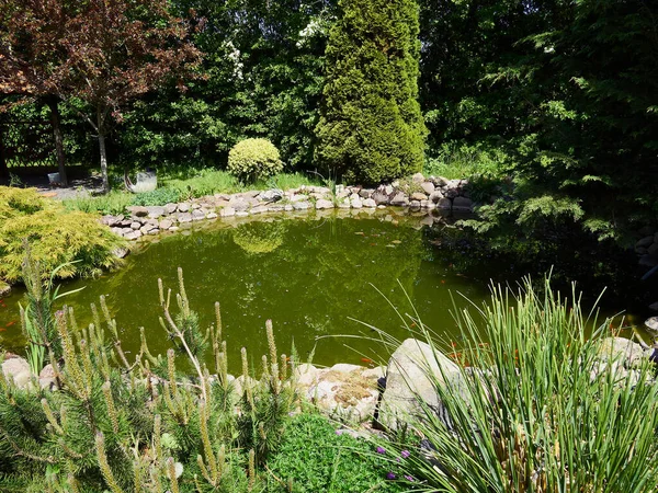 Bel Aménagement Paysager Étang Eau Jardin Créatif Avec Des Poissons — Photo