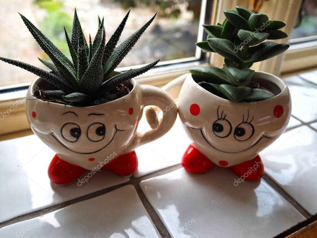Cute small fuuny creative ceramic  planter pots shaped like a couple of man and woamn with cactus stand by a home window