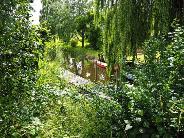 Piccolo Bellissimo Torrente Ruscello Fiume Verde Lussureggiante Foresta Natura Sfondo — Foto Stock