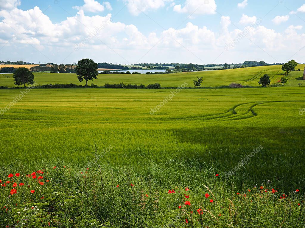 Beautiful summer Danish Countryside Landscape Over Rolling Hills with Green Fields with Great Clouds Formation Funen Denmark