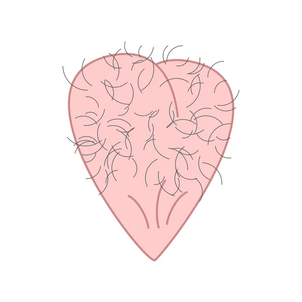 Αρσενικό Καρδιά Τριχωτό Μπάλες Man — Διανυσματικό Αρχείο