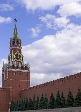 Moskova kremlin duvarı kule ve köknar ağaçları ile. arka plan, seyahat