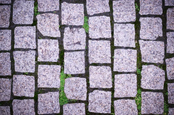 Acera Piedra Pavimento Con Césped Parque Viñeta Fondo Textura — Foto de Stock