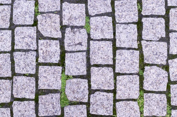 公園の芝と石の歩道舗装 テクスチャ — ストック写真