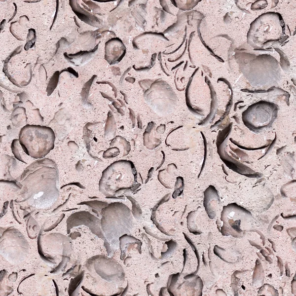 Nahtlose Natürliche Coquina Shell Rock Textur Hintergrund Geologische — Stockfoto