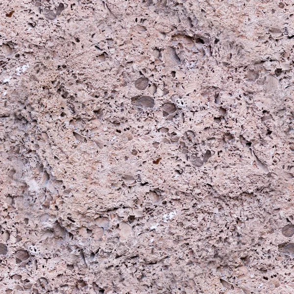 Senza Soluzione Continuità Naturale Struttura Rocciosa Guscio Coquina Sfondo Geologico — Foto Stock