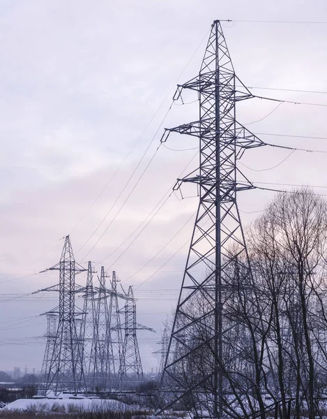 Kraft Överförings Ledning Vintern Molnigt Kväll Industriell Natur — Stockfoto