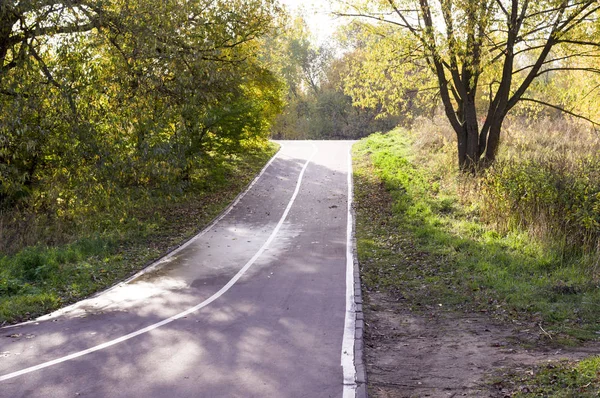 Camino Pasarela Través Del Parque Otoño Temporada Fondo — Foto de Stock