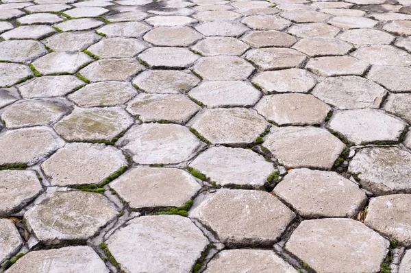 hexagon shaped tile paved sidewalk with perspective view. background, urban.