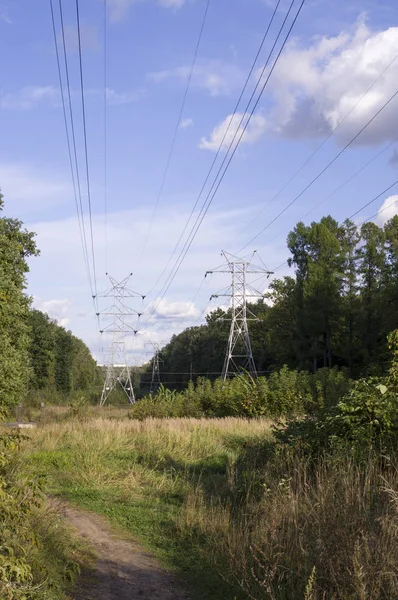 Kraft Överförings Ledning Sommaren Industriell Natur — Stockfoto