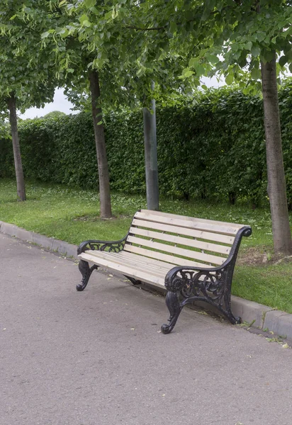 path with bench in a quiet summer park. background, nature.