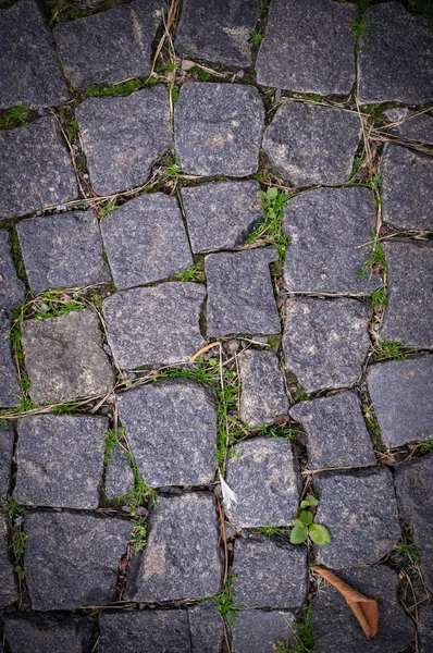 Stary Kamienny Chodnik Brukowany Kwadratowymi Granitowymi Blokami Zieloną Trawą Kiełkującego — Zdjęcie stockowe