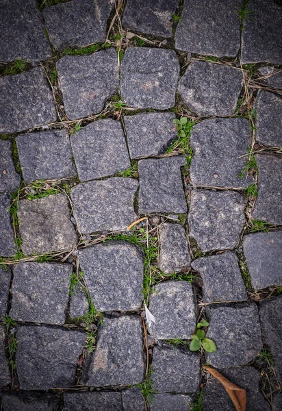 Viejo Pavimento Piedra Empedrado Con Bloques Cuadrados Granito Con Hierba — Foto de Stock