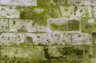 Yeşil küflü ve yosun desenli eski taş duvar. arkaplan, mimari.