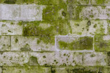 Yeşil küflü ve yosun desenli eski taş duvar. arkaplan, mimari.