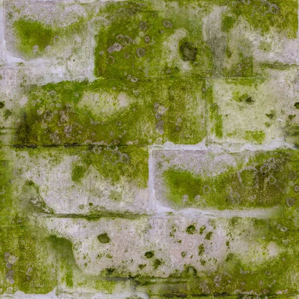 seamless old stone brick wall with green mold and moss texture. background, architecture.