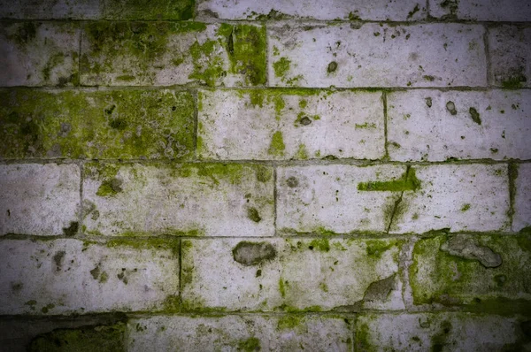 緑の型とヴィネットと苔のテクスチャを持つ古い石レンガの壁 背景や建築 — ストック写真