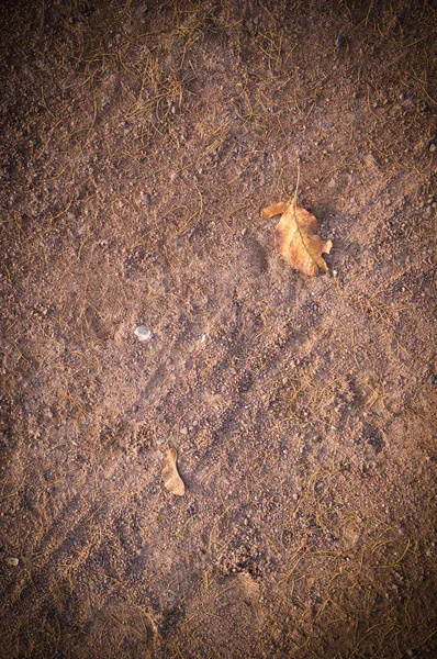 Sand Path Yellow Autumn Leaf Texture Vignette Seasonal — Stock Photo, Image
