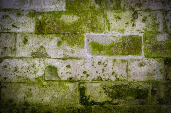 Alte Steinmauer Mit Grünem Schimmel Und Moosstruktur Mit Vignette Hintergrund — Stockfoto