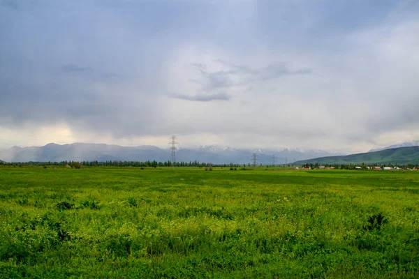 緑の芝生と低い雲と美しい夏の草原 大きな山と空の背景 — ストック写真