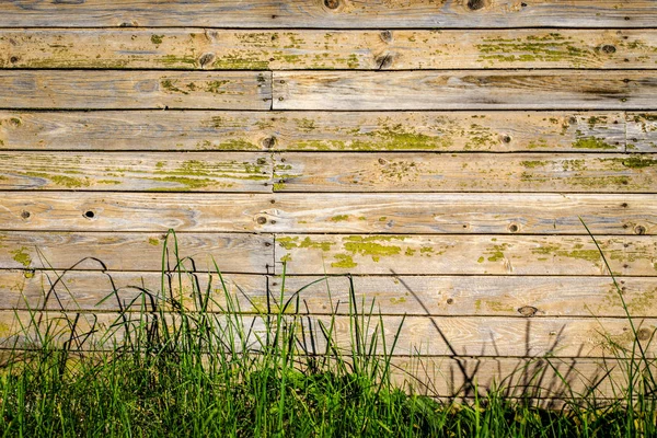 Background of wood texture, with green grass. Place to insert text. Old style