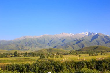 Dağlar ve yeşil alanlar. Kırgızistan.