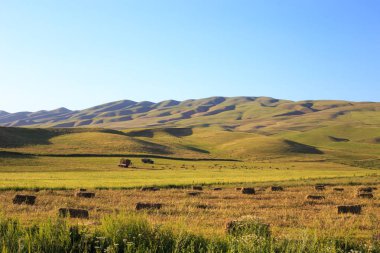 Dağlar ve yeşil alanlar. Kırgızistan.