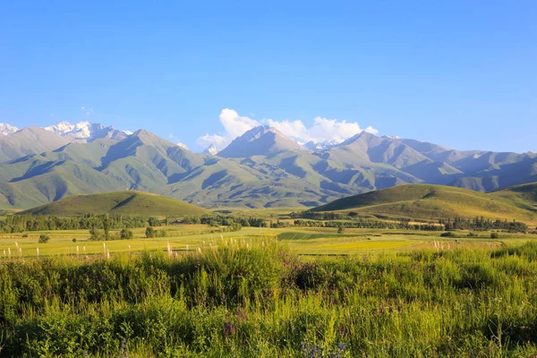 Bergen en groene velden. Kirgizië. — Stockfoto