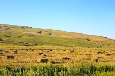 Dağlar ve yeşil alanlar. Kırgızistan.