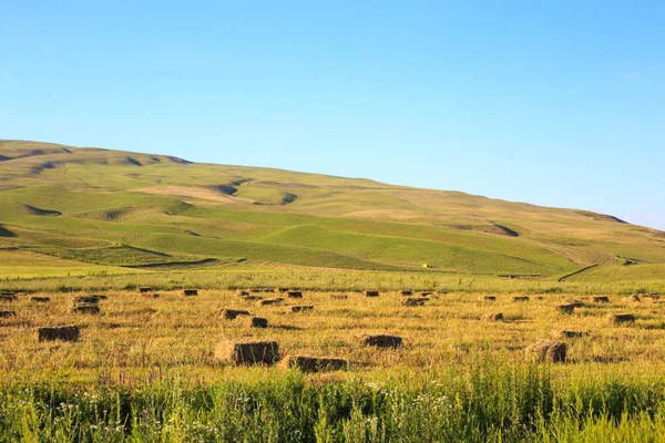 Dağlar ve yeşil alanlar. Kırgızistan.