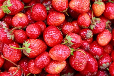 taze hasat çilek kökenli. Üstten görünüm. Gıda arka plan