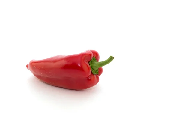 Pimiento rojo sobre fondo blanco. — Foto de Stock