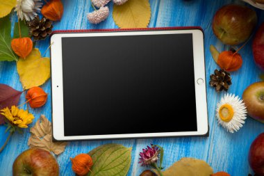 Tablet. Sonbahar parlak arka plan. Çiçek, yaprak ve meyve mavi ahşap arka plan üzerinde. Sonbaharda tatiller ve Şükran günü için arka plan.