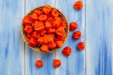 Sonbahar arka plan. Parlak turuncu physalis çilek odunsu mavi bir arka plan üzerinde. Sonbaharda tatiller ve Şükran günü için arka plan.