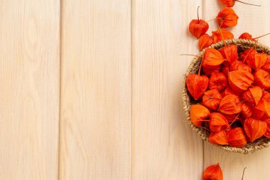 Sonbahar arka plan. Parlak turuncu physalis çilek parlak odunsu arka plan üzerinde. Sonbaharda tatiller ve Şükran günü için arka plan.